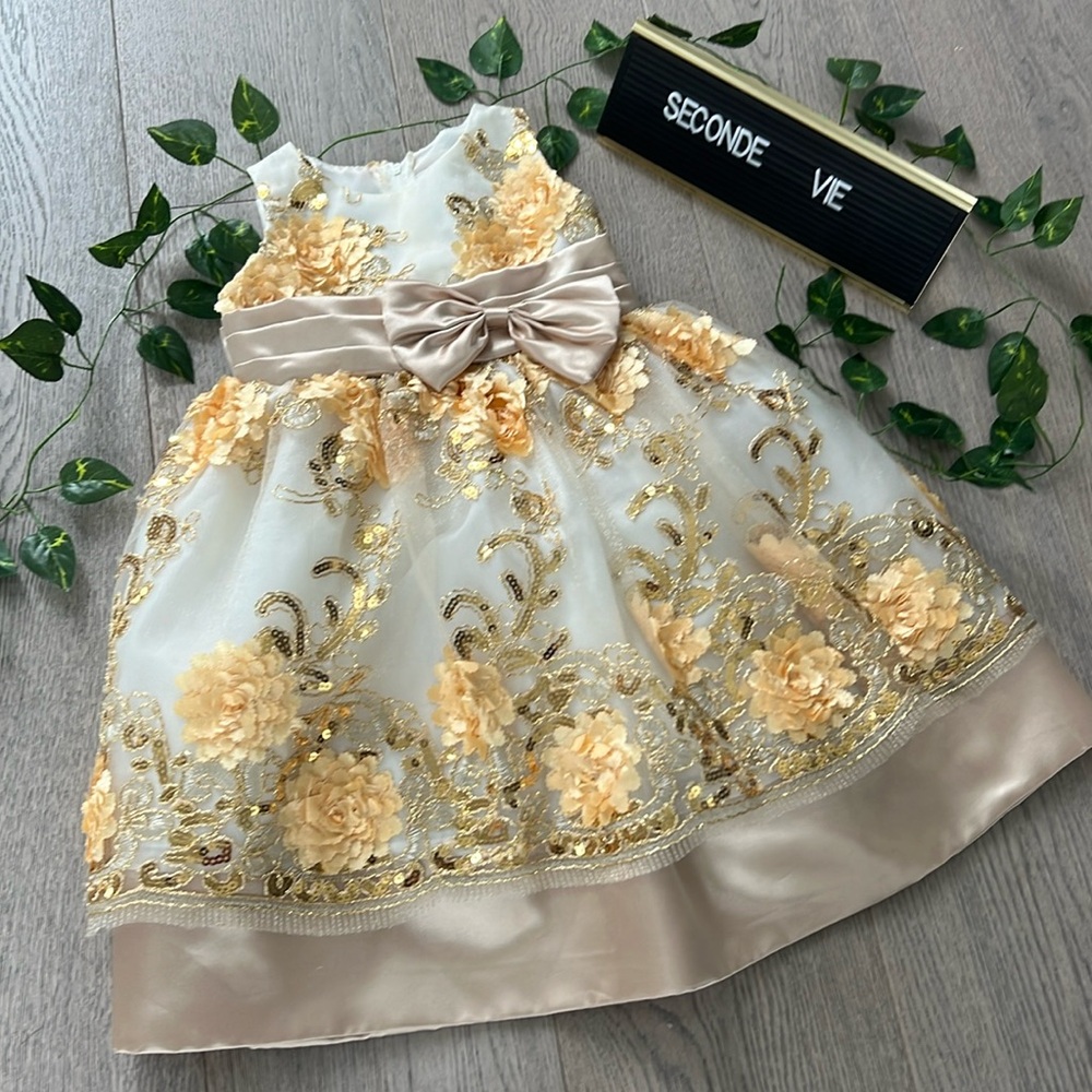 Toddler girl golden floral appliqué tulle dress for special occasion
